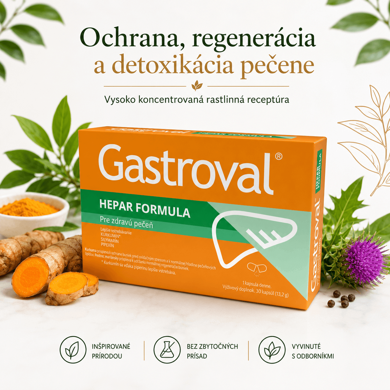 detoxikacia pecene Gastroval Hepar